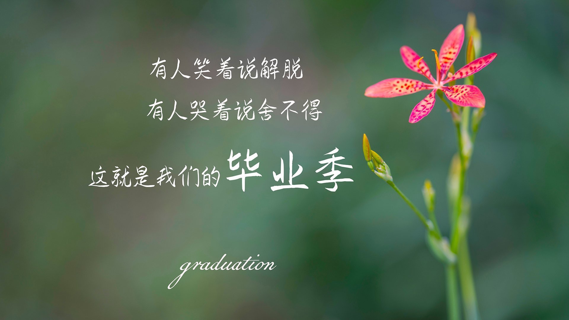 家用照明电流是多少安的啊（家用照明电流是多少安的啊视频）